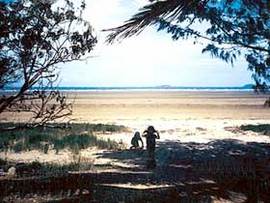Midge Point QLD Broome Tourism
