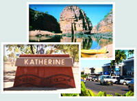 Red Gum Tourist Park - Broome Tourism 0