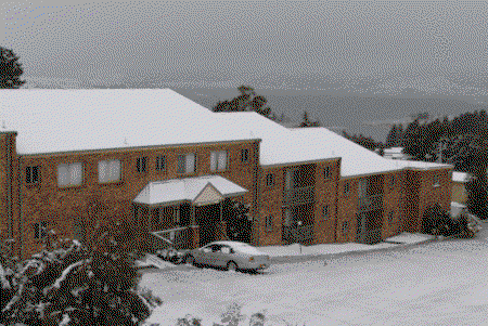 Acacia Snowy Motel - Broome Tourism 4
