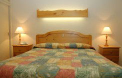 Best Western Fawkner Airport Motor Inn & Serviced Apartments - Broome Tourism 1