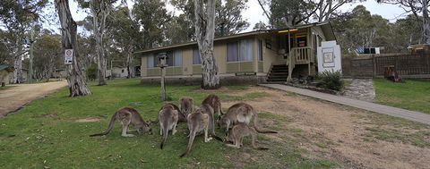 Kosciuszko Tourist Park - Broome Tourism 5