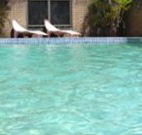Toreador Motel - Coffs Harbour - Broome Tourism