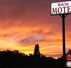 Walcha Motel - Walcha - Broome Tourism