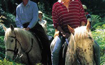 Cooby Springs Country Retreat - Broome Tourism 1