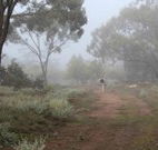 Heritage Park Bathurst - Broome Tourism