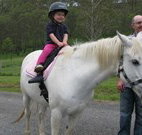 Mansfield Cottage Barrington Tops Accommodation - Broome Tourism
