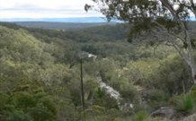 Wildwood Guesthouse - Broome Tourism 1