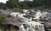 Wildwood Guesthouse - Broome Tourism 2