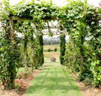 All Saints Bed and Breakfast - Broome Tourism
