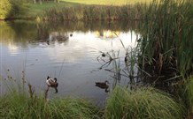 East Bowral NSW Broome Tourism