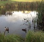 Harewood House Bed and Breakfast - Broome Tourism