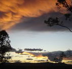 Silkwood B and B - Broome Tourism