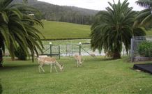 Sunny Hill Retreat Accommodation And Day Spa - - Broome Tourism 6