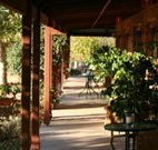 The Vineyard Motel - Broome Tourism
