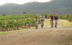 Hunter Valley YHA - thumb 6