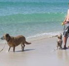 A Paradise Bungalow Waterfront - Broome Tourism