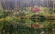 Brigalow Cottage - thumb 2