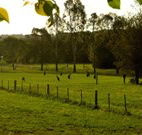 Stone Cottage Mittagong - Broome Tourism