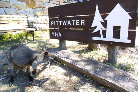 Sydney - Pittwater YHA - Broome Tourism 9