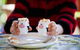 Cosy Cow Farmstay Bed And Breakfast - thumb 0