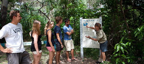 Magnetic Island YHA - Broome Tourism 8