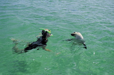 Coodlie Park - Port Kenny - Venus Bay - Broome Tourism 3