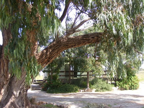 Coodlie Park - Port Kenny - Venus Bay - Broome Tourism 4