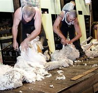 The Woolshed at Jondaryan Caravan and Camping - Broome Tourism