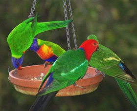 Bellthorpe Stays - Nature's Retreat - Broome Tourism 3