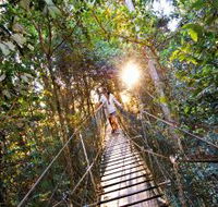 O'Reilly's Rainforest Retreat - Broome Tourism