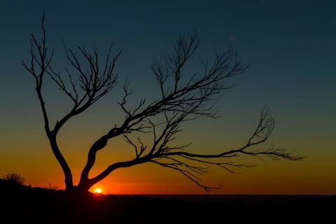 Eldee Station Accommodation, Caravan And Campsites - Broome Tourism 10