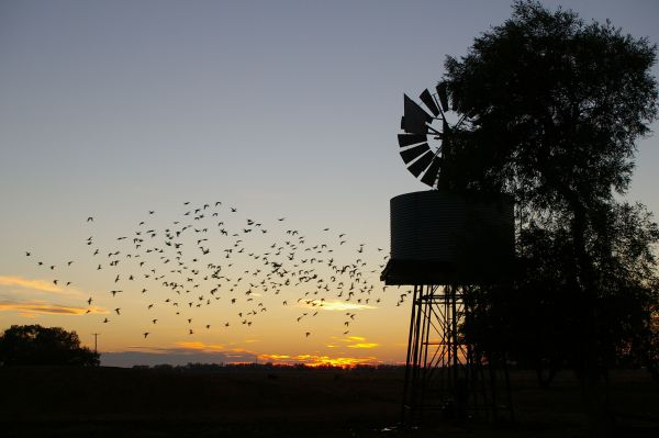 Tooraweenah NSW Broome Tourism