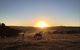 Old Bara Farmstay - thumb 8