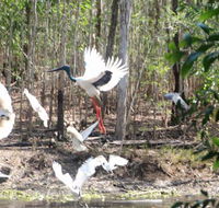 Rakhi Retreat - Broome Tourism