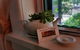 Rushton Cottage Bed And Breakfast - thumb 2