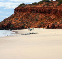 Herald Bight Camp at Francois Peron National Park - Broome Tourism