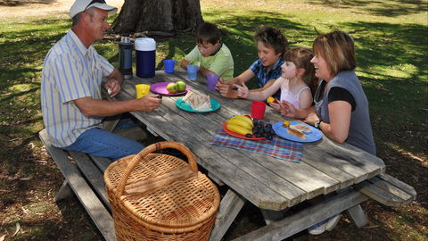 Naracoorte Caves Camping And Accomodation - Broome Tourism 3