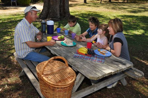 Naracoorte Caves Camping And Accomodation - Broome Tourism 0
