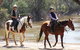 Billabong Ranch - thumb 6