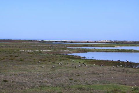 Mundoo Island Station - Broome Tourism 9