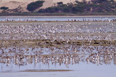 Mundoo Island Station - Broome Tourism 16