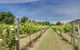 Highton Manor - thumb 9