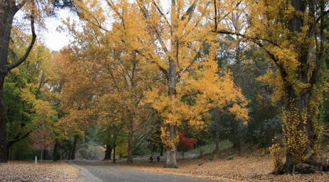 Wilderness Retreats Buchan Caves Reserve - Broome Tourism 9