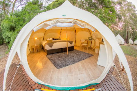 Yarra Valley Park Lane Glamping Belle Tents - Broome Tourism 8