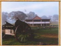 Megalong Valley Farm - Broome Tourism 0