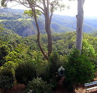 Mt Tamborine Motel - Broome Tourism