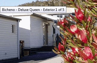 Bicheno Cabins And Tourist Park - Broome Tourism 2