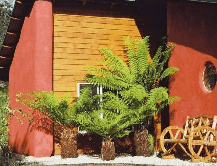 Whispering Spirit Cottage  Miniature Pony Stud - Broome Tourism