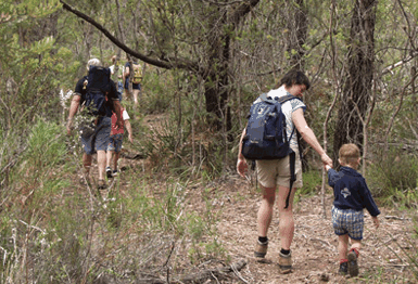 Bicheno East Coast Holiday Park - Broome Tourism 3