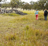 Carnarvon National Park camping - Broome Tourism